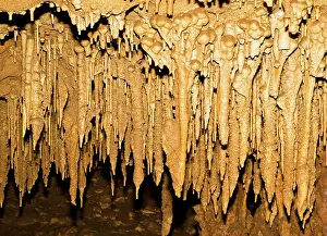 Stalactite: Stalactite Formations in Florida Caverns State Park