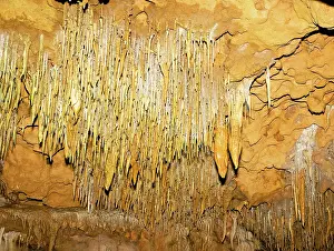 Stalactite: Stalactite Formations in Florida Caverns State Park