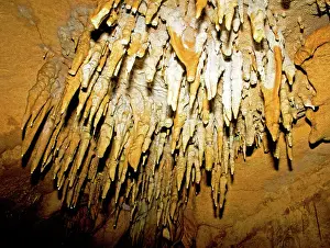 Stalactite: Stalactite Formations in Florida Caverns State Park