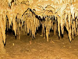 Stalactite: Stalactite Formations in Florida Caverns State Park