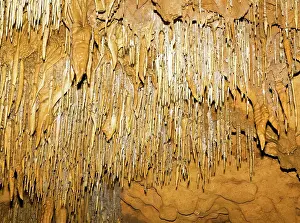 Stalactite: Stalactite Formations in Florida Caverns State Park