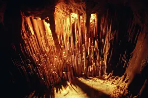 Ceiling: Stalactites