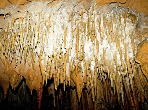 Flowstone: Stalactites in Florida Caverns State Park