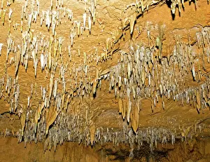 Stalactite: Stalactites in Florida Caverns State Park