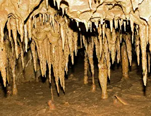Flowstone: Stalactites Formation in Florida Caverns State Park