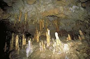 Stalactite: Stalagmite formations
