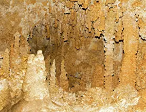 Guadalupe: Stalagmite Formations in Carlsbad Caverns