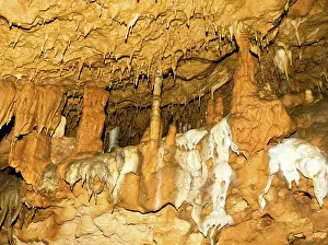 Stalactite: Stalagmite Formations in Florida Caverns State Park