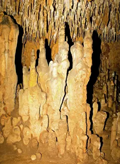 Stalactite: Stalagmite Formations in Florida Caverns State Park