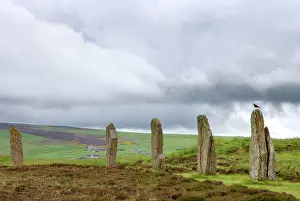 Catcher: Standing Stones - with Oystercatcher