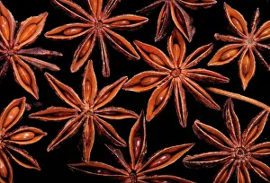 Verum: STAR ANISE - close-up of seeds