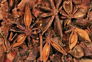 Verum: STAR ANISE - close-up of seeds