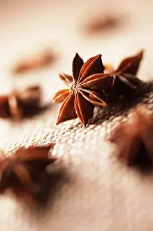 Anise: Star anise, Illicium, Brown subject