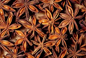 Verum: STAR ANISE - whole seed pod, dried