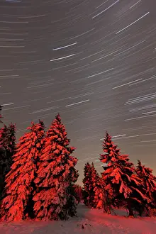Trails: Star trails - in winter sky - Hoher Meissner National park