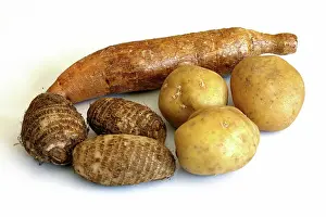Potatoes: Starchy Tubers