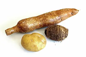 Potatoes: Starchy Tubers