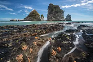 160919: Starfishes on rocky coast, rocks in the sea, Greymouth