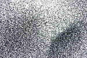 Changing: Starlings - A concentrated section of a large flock
