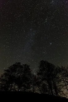 Starlit: Starlit Sky - in winter