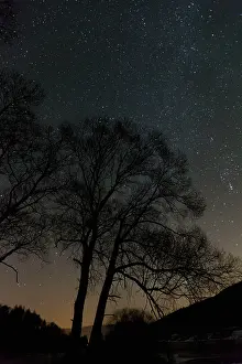 Starlit: Starlit Sky - in winter