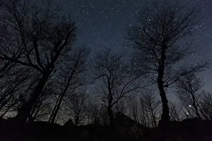 Starlit: Starlit Sky - in winter