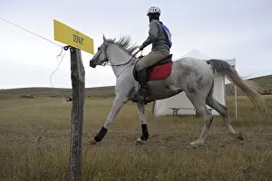 Start: Start of a horse race La Citerne Florac France