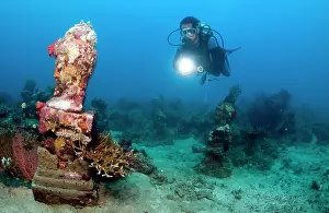 Pemuteran: Statue with coral growth on it