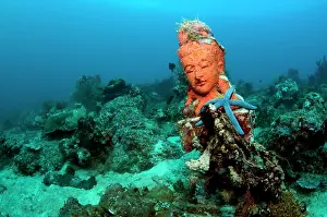 Pemuteran: Statue with coral growth on it