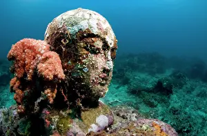 Pemuteran: Statue with coral growth on it