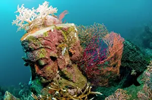 Pemuteran: Statue with coral growth on it