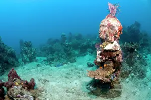 Pemuteran: Statue with coral growth on it
