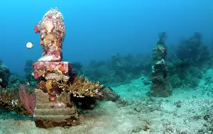 Pemuteran: Statue with coral growth on it