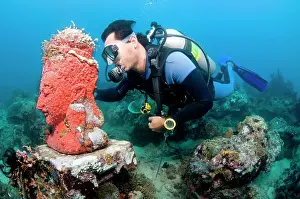 Pemuteran: Statue with coral growth on it