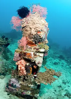 Pemuteran: Statue with coral growth on it