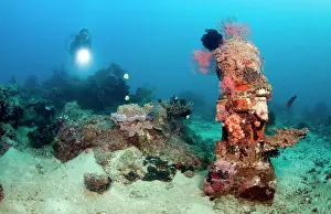 Pemuteran: Statue with coral growth on it