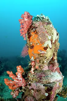 Pemuteran: Statue with coral growth on it