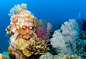 Pemuteran: Statue with coral growth on it, Indonesia, Bali