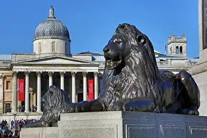 Beneath: Statue of lion by Landseer beneath Nelson's Column