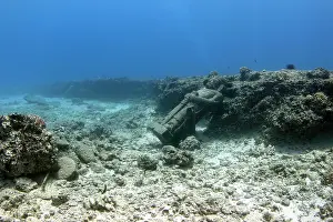 Sculptures: Statue under water, Maunalua Bay, Oahu, Hawaii