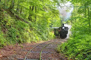 Transport: Steam locomotive of the Ybbstalbahn, Gaming, 'ntscherland