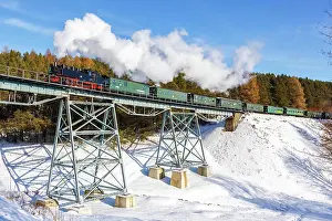 Viaduct: Steam train of the Fichtelbergbahn railway Steam
