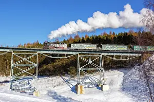 Viaduct: Steam train of the Fichtelbergbahn railway Steam