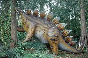 Stegosaurus: Stegosaurus