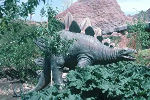 Calgary: Stegosaurus