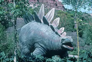 Calgary: Stegosaurus