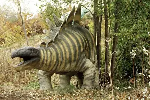 Reconstruction: Stegosaurus