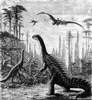 Spiked: Stegosaurus and Compsognathus Dinosaurs