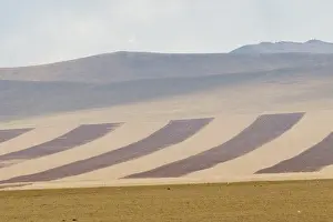 Parc Natiional: STEPPE HUSTAI