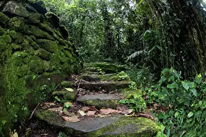 Steps: Steps at archaeological site of the Lost City (Ciudad